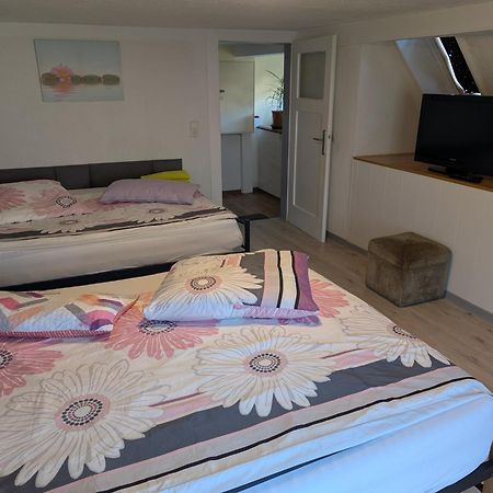 Feriendomizil Burgert Naehe Europapark Apartment Kippenheim Bagian luar foto